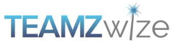 TeamzWize-logo
